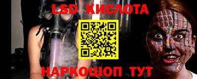 СК Рыбинск