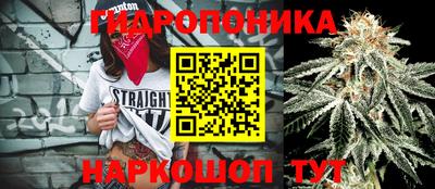 СК Рыбинск