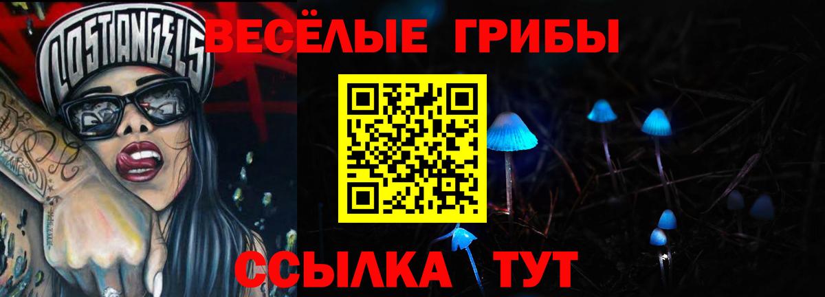 Сочи  Галлюциногенные грибы GOLDEN TEACHER  Псилоцибиновые грибы прущие грибы  Вход с VPN 